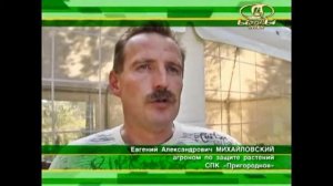 Экстрасол. Мнения агрономов