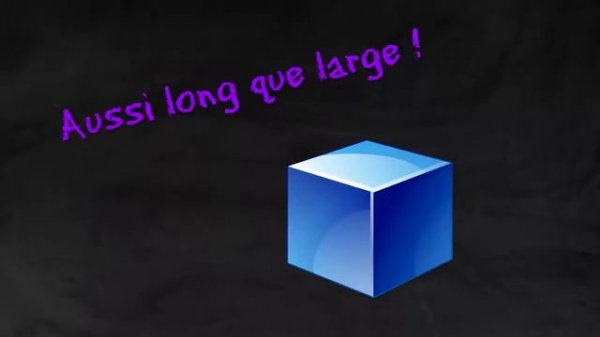 Top 8 des insectes les plus bizarres