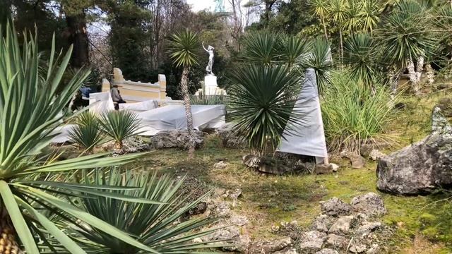 РАСТЕНИЯ, КОТОРЫЕ ХОЧЕТСЯ ИМЕТЬ В САДУ. Март 2024. Прогулка в Сочи. смотреть онлайн