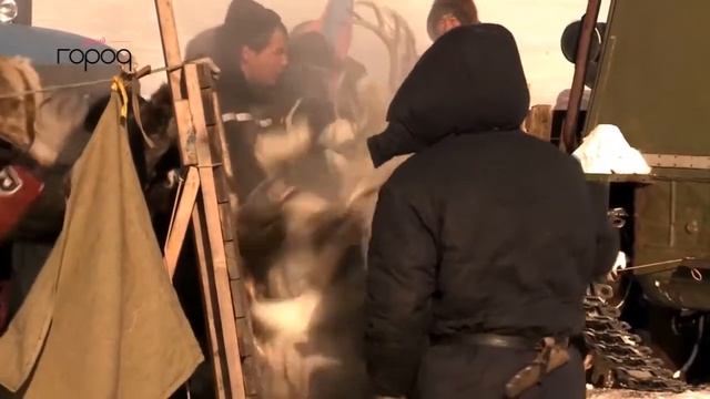 Съезд молодежи Республики Саха Якутии смотреть онлайн