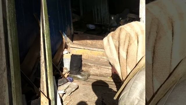 Ойда утырыгыз эбийдэн урнак алыйк смотреть онлайн