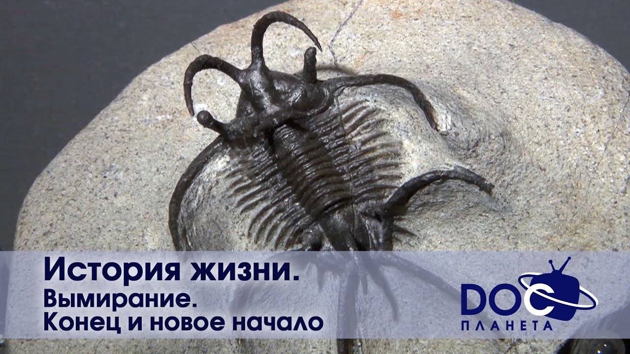 История жизни - Часть 5.Вымирание. Конец и новое начало - Документальный фильм смотреть онлайн