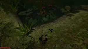 Gothic 2 + Night of the Raven №1  Начало!