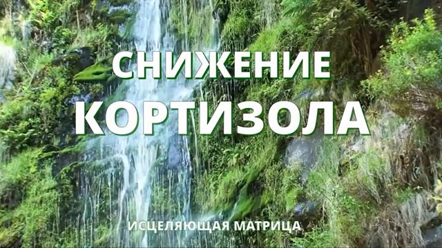 СНИЖЕНИЕ КОРТИЗОЛА*УПРАВЛЕНИЕ СТРЕССОМ*ИСЦЕЛЕНИЕ НЕРВОВ ЗВУКОМ