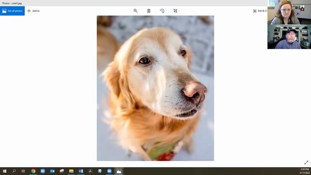 I Came, I Saw, I Captured: Photography Skills for Beginners смотреть онлайн