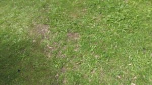 Заметки о замене внутреннего ШРУСа Chevrolet Lacetti