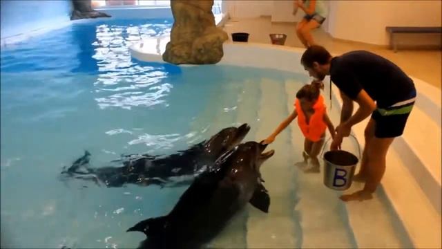 ЖИВОТНЫЕ, СПОСОБНЫЕ ЛЕЧИТЬ ЛЮДЕЙ смотреть онлайн