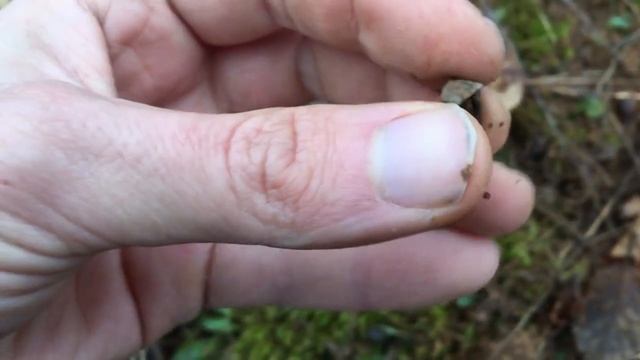 Searching For Relics With My NOKTA/MAKRO Simplex Metal Detector | Old Ring Found! смотреть онлайн
