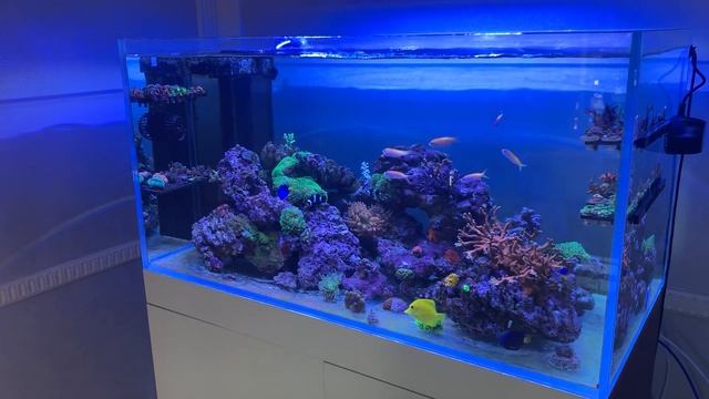 Аква 18.05.19 смотреть онлайн