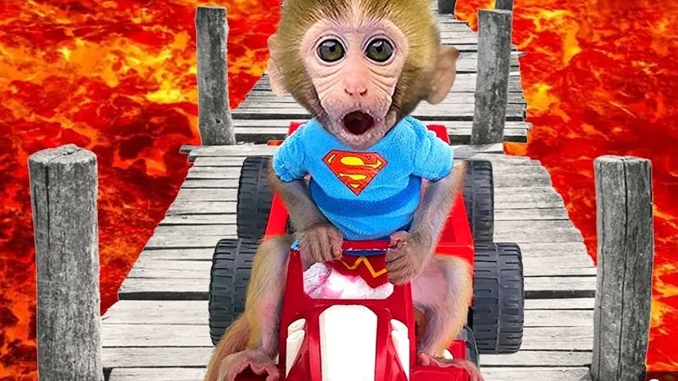 Бон-Бон идёт собирать фрукты