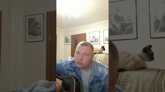 Сергей Суровый! Гарик Сукачев и группа Неприкасаемые! Птица! смотреть онлайн