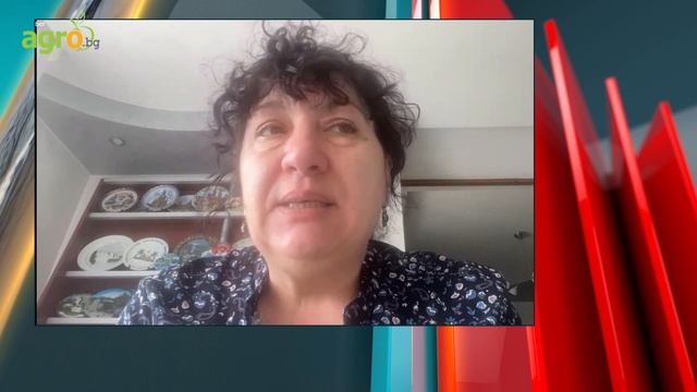 Милена Горанова, земеделски производител: Има огромен пазар за чиста от ГМО соя в ЕС смотреть онлайн
