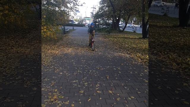 вел смотреть онлайн