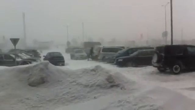 Весны не видно....((((((( смотреть онлайн