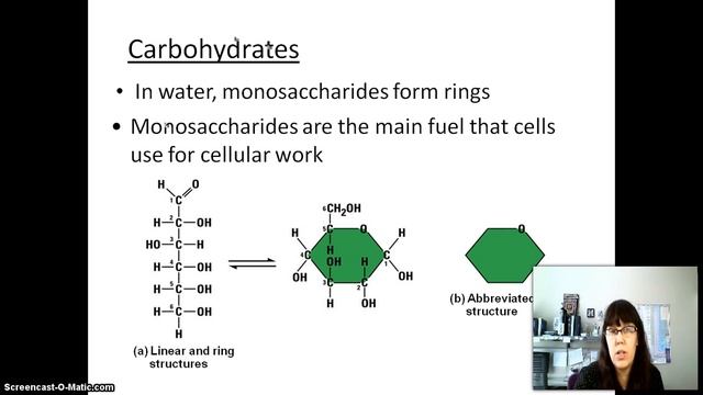 Lecture 2 Chemistry of Life part 2 смотреть онлайн