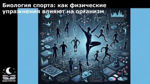 Биология спорта: как физические упражнения влияют на организм