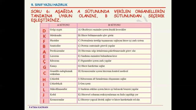 9 SINIF HÜCRE ORGANELLERİ YAZILI HAZIRLIK смотреть онлайн