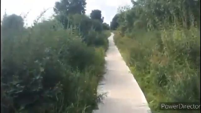 Прогулка с Найдой смотреть онлайн