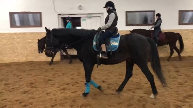 Марципан 1 смотреть онлайн