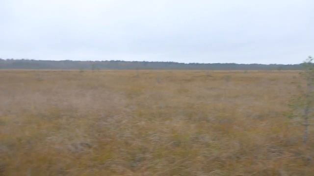 Chevrolet niva & G-class болото смотреть онлайн