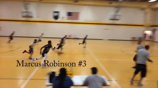 Marcus "12 year old phenom" Robinson #3 (Va Panther's vs. Sky Diggs) Highlight/ Mix-Tape смотреть онлайн