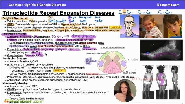 High Yield Genetic Disorders-6. Trinucleotide Repeat Expansion Diseases atf смотреть онлайн