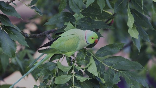 Живописные уголки нашей земли в 4К HDR