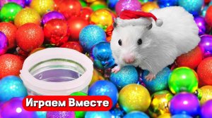Хомяк проходит НОВОГОДНИЙ ЛАБИРИНТ С ПРЕПЯТВИЯМИ 🐹 Видео для детей