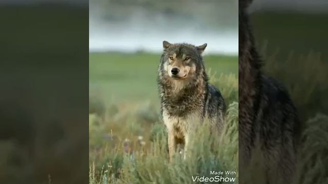 Умные слова делают нашу жизнь прекрасной. смотреть онлайн