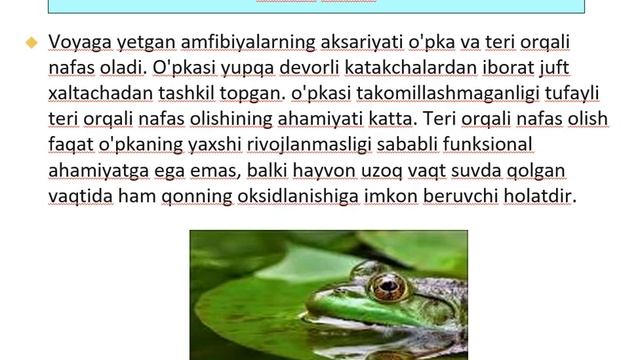 Бақанинг ички ва ташқи тузилиши смотреть онлайн
