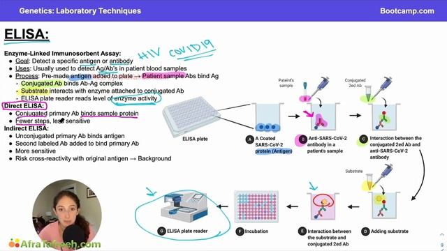 Laboratory Techniques-2. ELISA atf смотреть онлайн