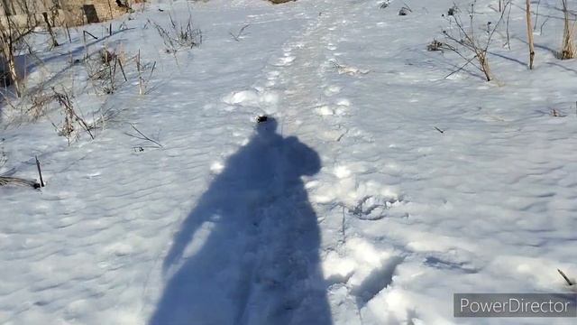 Поиск день 2. Бабушка с деменцией. пос. Эммаус смотреть онлайн