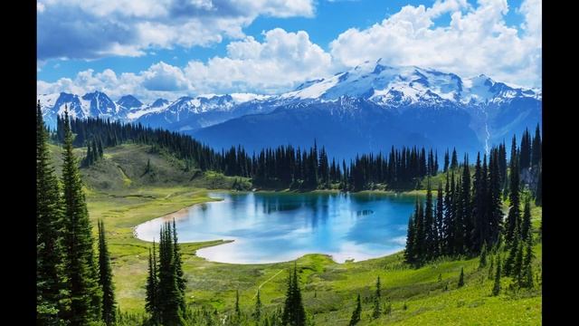 Гусли смотреть онлайн