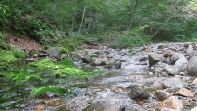 Река КАМЕНКА смотреть онлайн