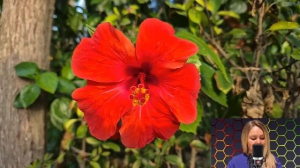 - Милочка, куда ты направилась, а кто свёкру ужин готовить будет? - свекровь уставилась на невестку