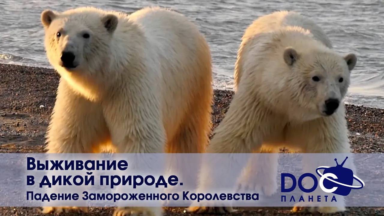 Выживание в дикой природе - Часть 3. Падение Замороженного Королевства - Документальный фильм смотреть онлайн