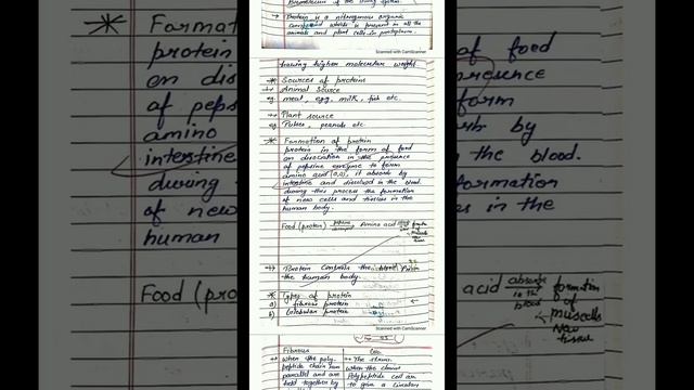 Biomolecules, Class-12th (Chemistry), Chapter-14, Ncert hand written notes смотреть онлайн