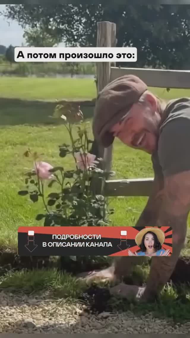 Что делает Дэвид Бэкхем у себя на участке? смотреть онлайн