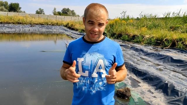 С какими проблемами мы столкнулись смотреть онлайн