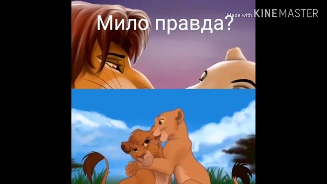 Симба и Нала " дикая львица" 🦁🦁🦁🦁 смотреть онлайн