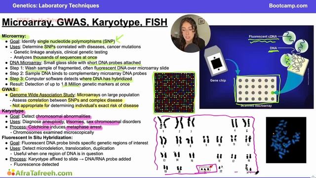 Laboratory Techniques-3. Microarray, GWAS, Karyotype, FISH atf смотреть онлайн