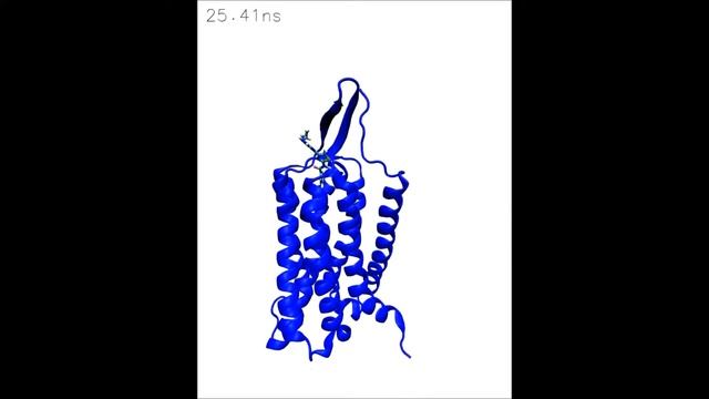 Investigation of allosteric modulation mechanism of metabotropic glutamate receptor 1 by molecular смотреть онлайн
