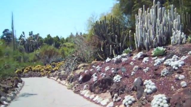 Los Angeles - Huntington Library, Arts Collection and Botanical Gardens смотреть онлайн
