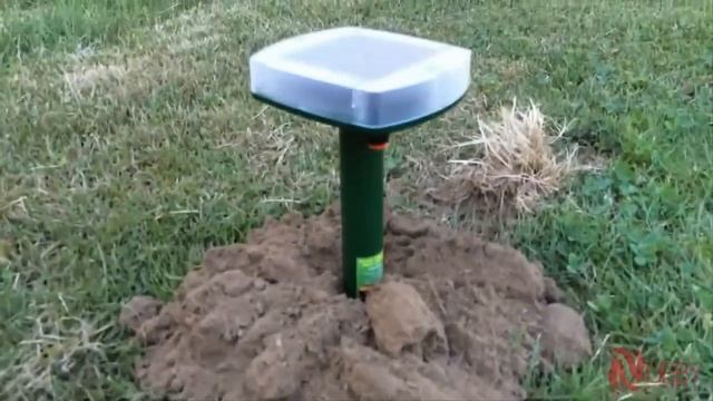 Отпугиватель грызунов змей и вредителей смотреть онлайн