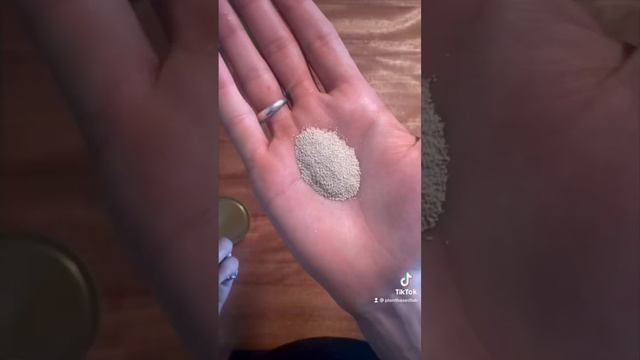 SOURDOUGH STARTER in 30 seconds! 🍞🍞🍞 Explained + 2 day time lapse. смотреть онлайн
