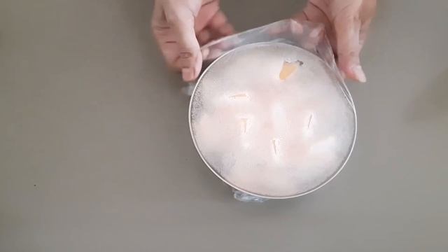How to Make Sorbet At Home | Melon Sorbet | Sorbet Recipe for Summers | Easy Fruit Sorbet Recipe смотреть онлайн