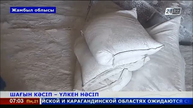 Жаңатаста шағын кәсіпкерлік кеңінен қанат жаюда смотреть онлайн