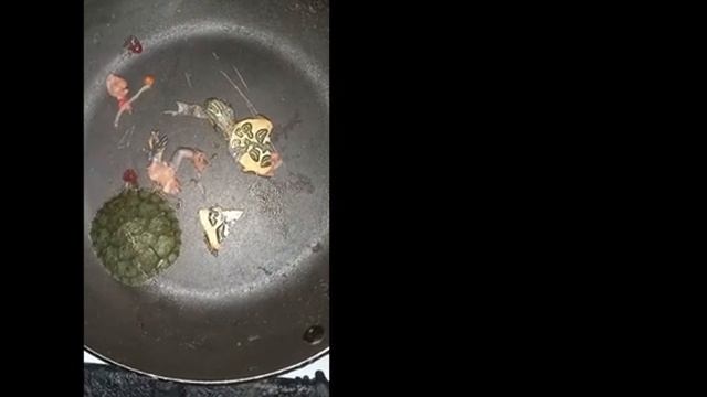 мясо черепахи смотреть онлайн