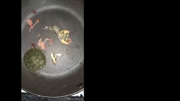 мясо черепахи