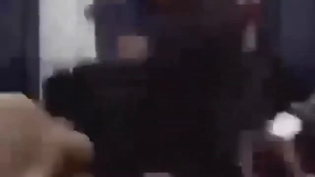 Собака прыгнула в камеру Скример смотреть онлайн